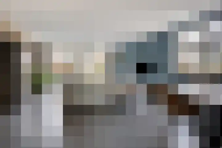 Gerardshoeve 19 Waddinxveen thumbnail 9