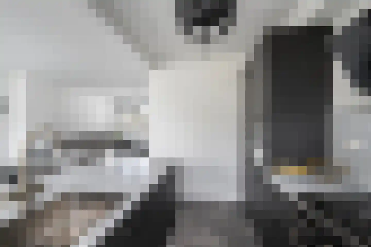 Gerardskruid 18 Rotterdam thumbnail 10
