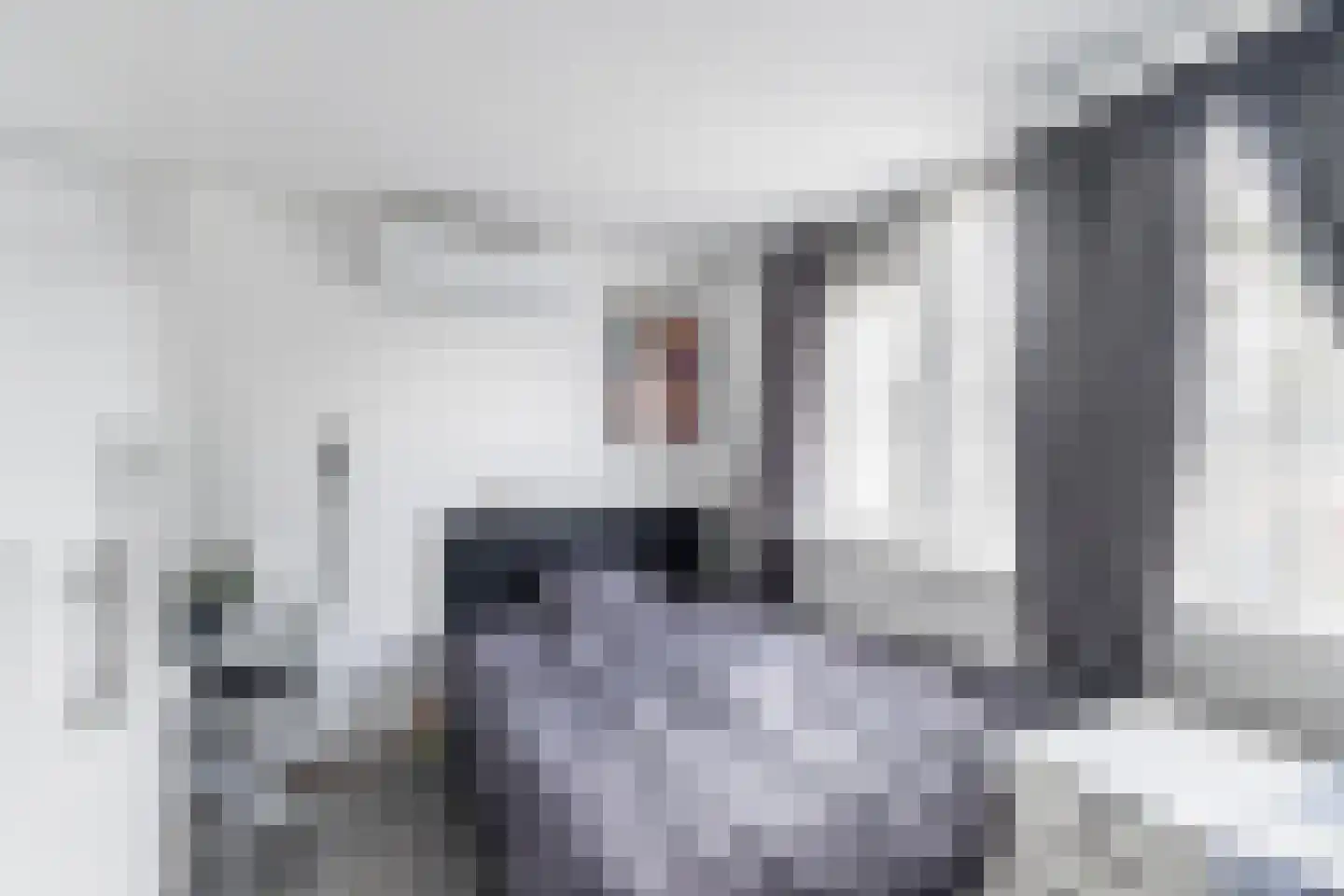 Gerardskruid 18 Rotterdam thumbnail 20