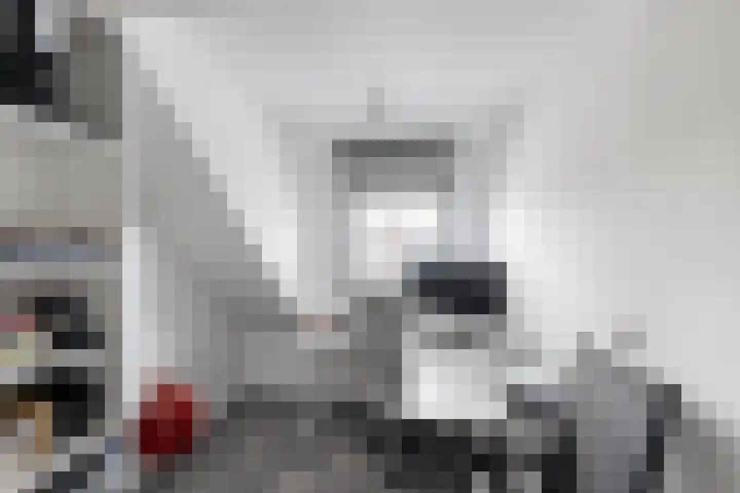Gerardskruid 18 Rotterdam thumbnail 30