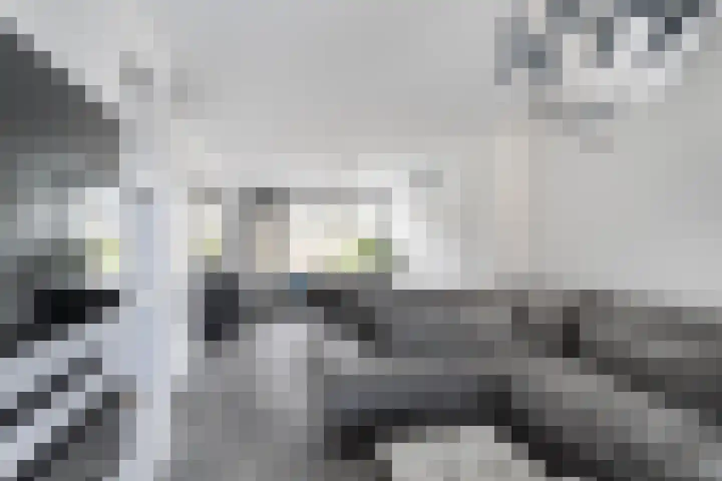Gerardskruid 18 Rotterdam thumbnail 5