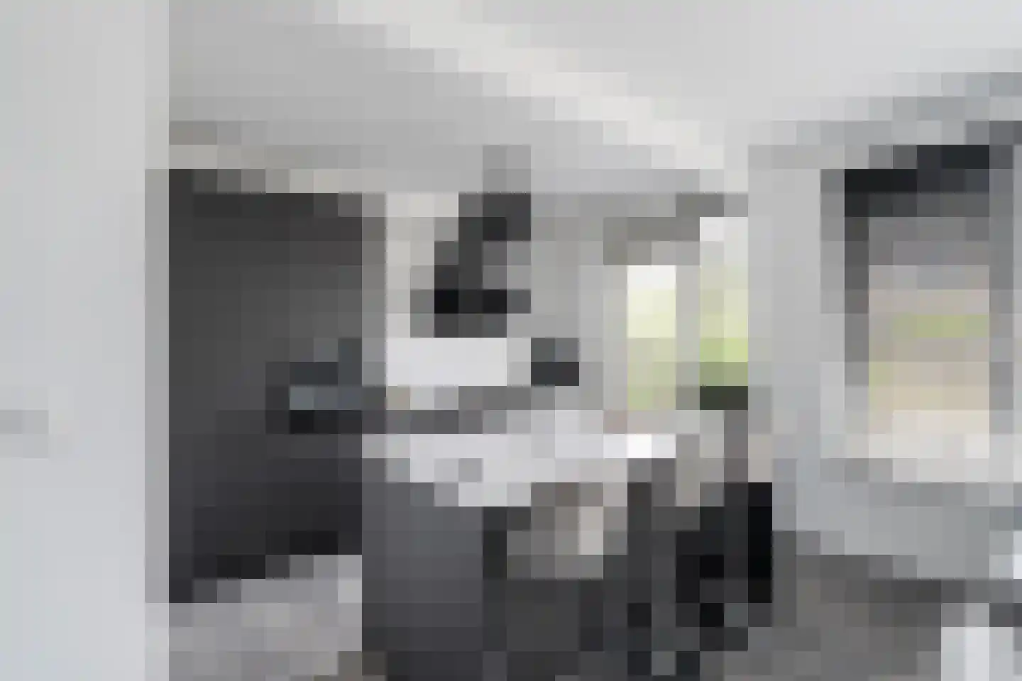 Gerardskruid 18 Rotterdam thumbnail 8