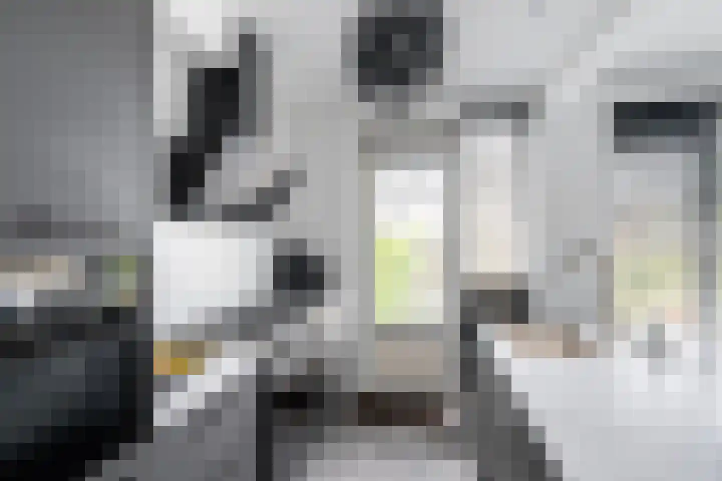 Gerardskruid 18 Rotterdam thumbnail 9
