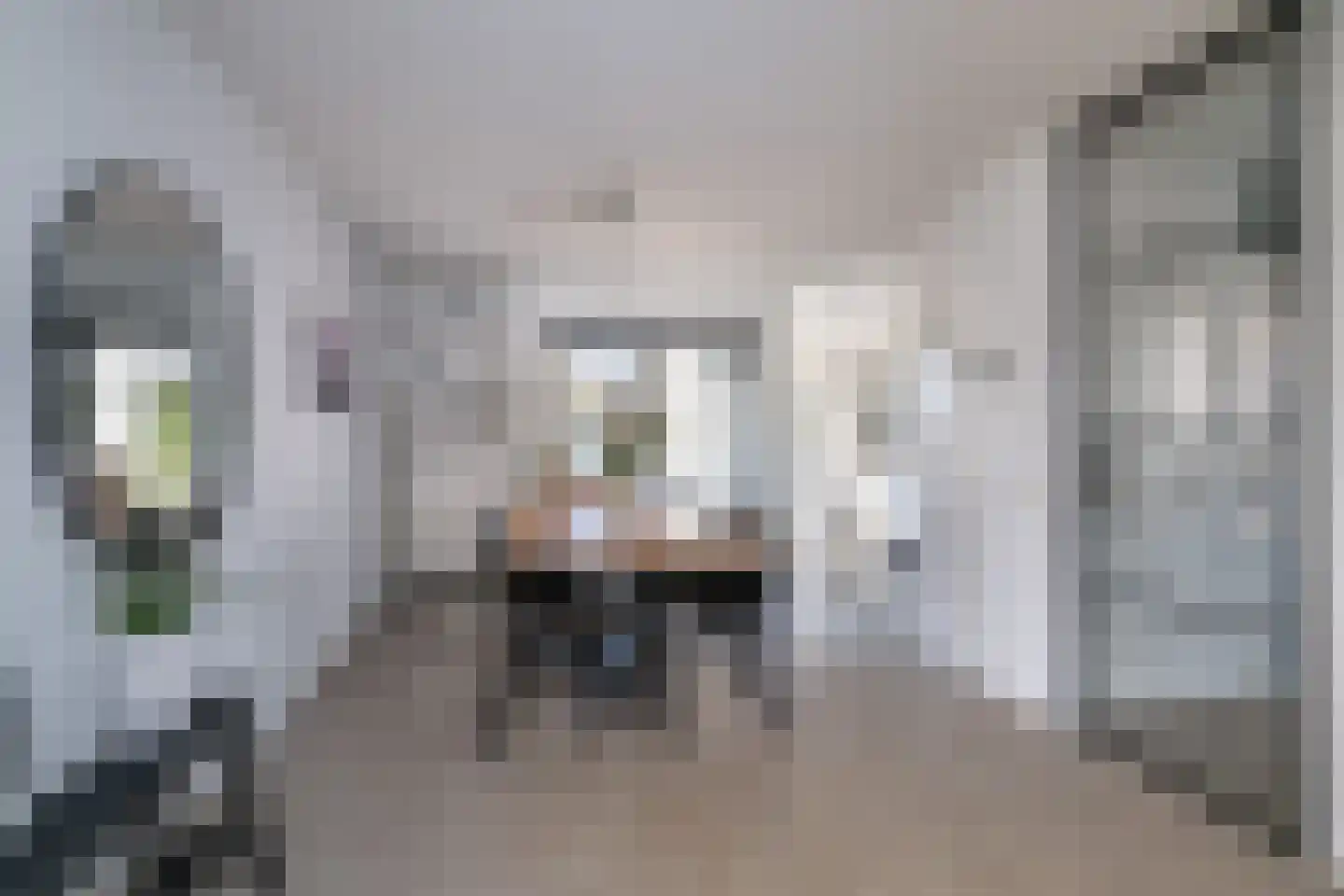 Gerardsstraat 9 Landgraaf thumbnail 9