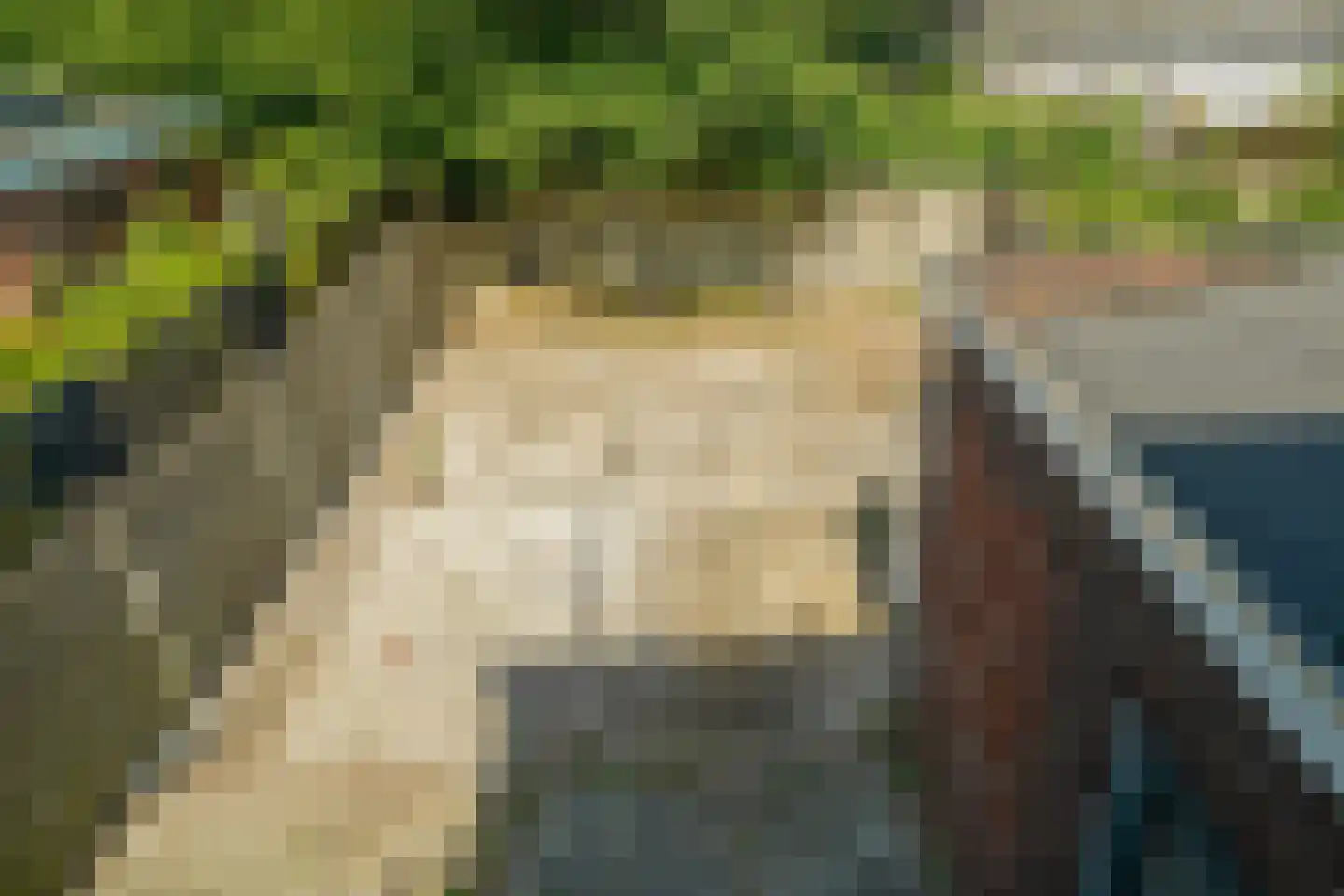Gerardsweg 4 Nijmegen thumbnail 17