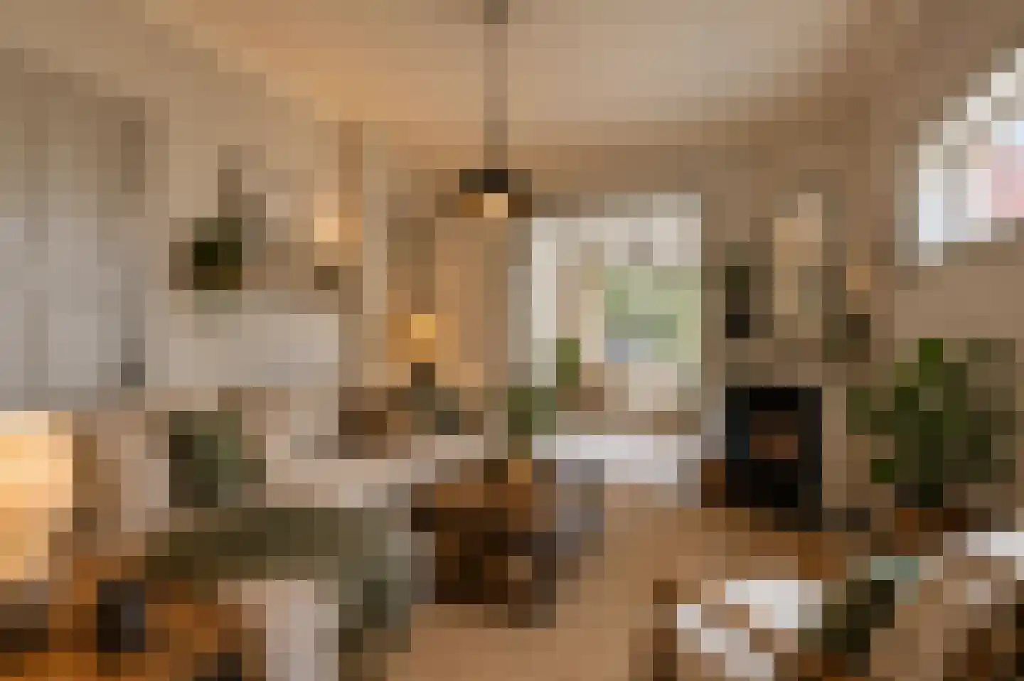 Gerardsweg 4 Nijmegen thumbnail 4
