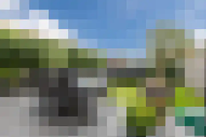 Gerardus de Valkstraat 10 Heumen thumbnail 4