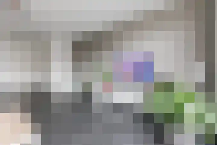 Gerardus de Valkstraat 10 Heumen thumbnail 8