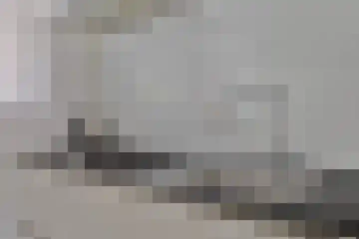 Gerardus de Valkstraat 4 Heumen thumbnail 11