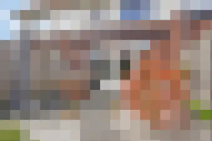 Gerardus de Valkstraat 4 Heumen thumbnail 31