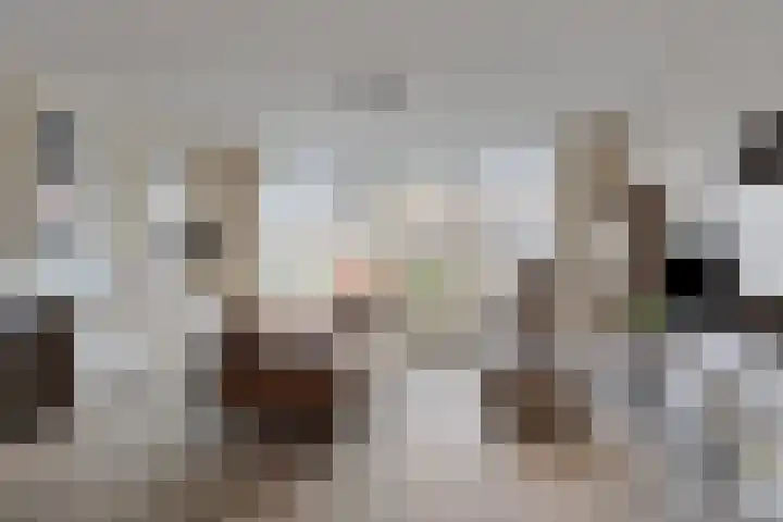Gerardus de Valkstraat 4 Heumen thumbnail 6