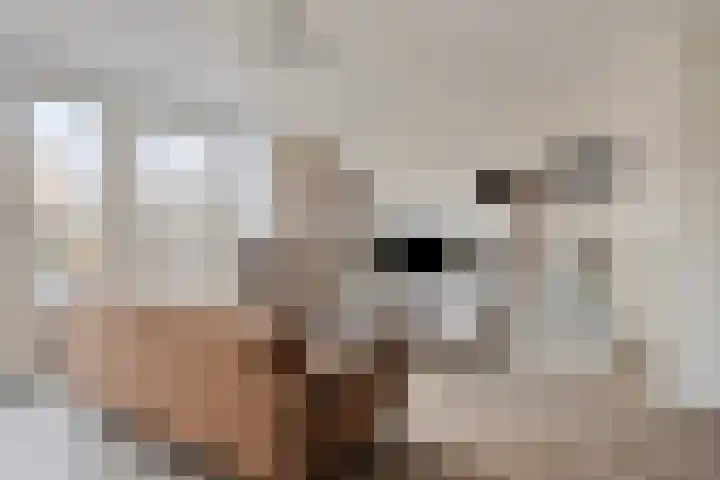 Gerardus de Valkstraat 4 Heumen thumbnail 7