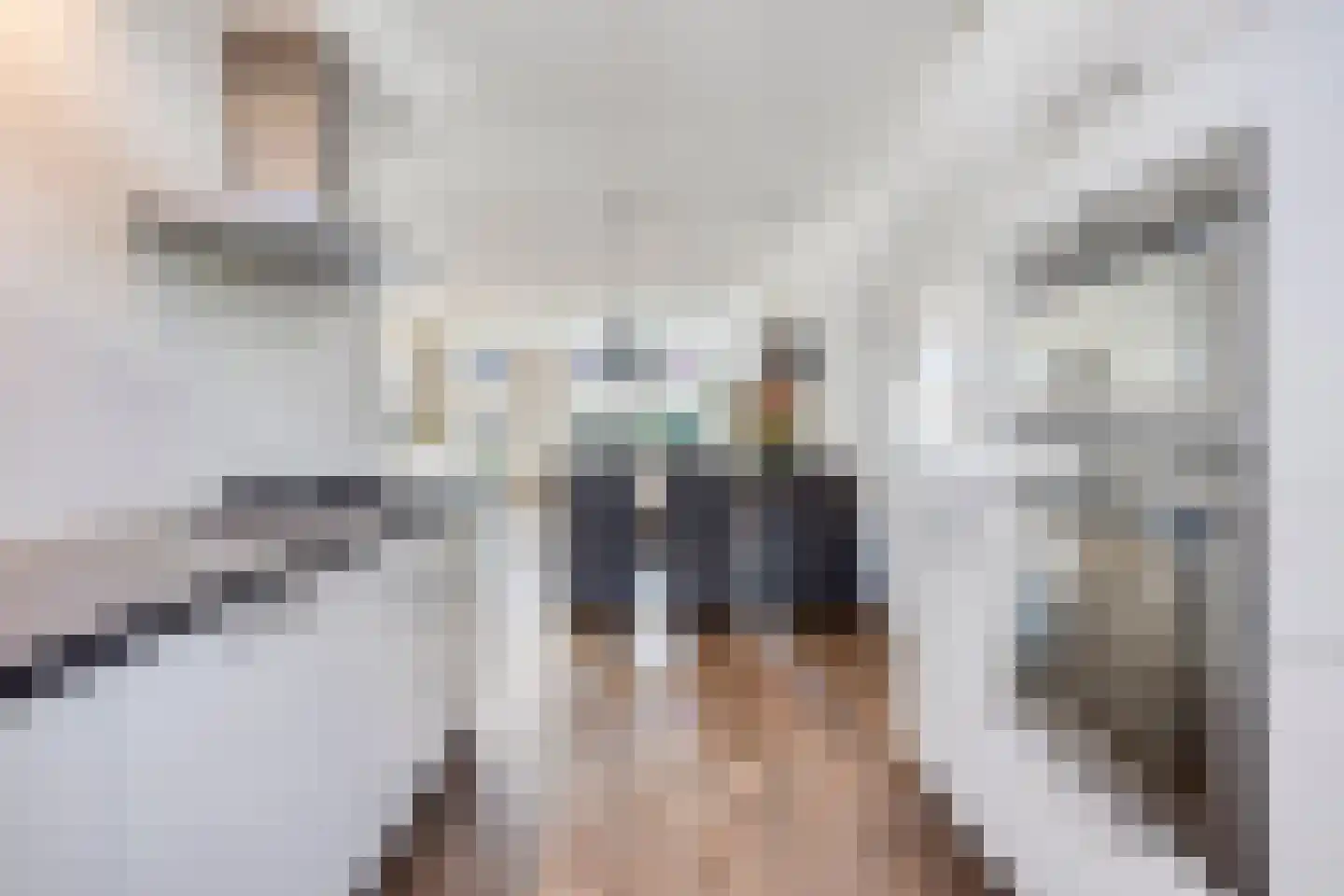 Gerardus de Valkstraat 6 Heumen thumbnail 8