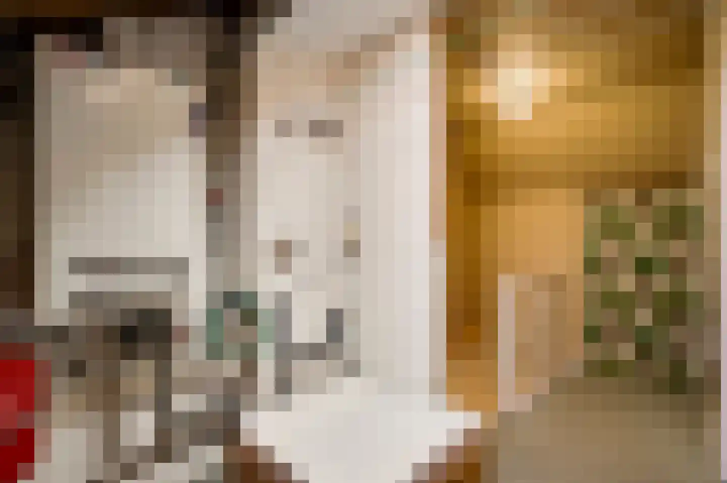 Gerardus Grubbenstraat 5 Venlo thumbnail 29