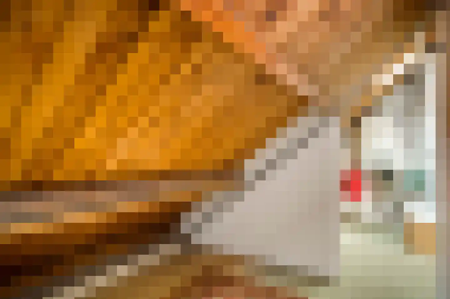 Gerardus Grubbenstraat 5 Venlo thumbnail 33