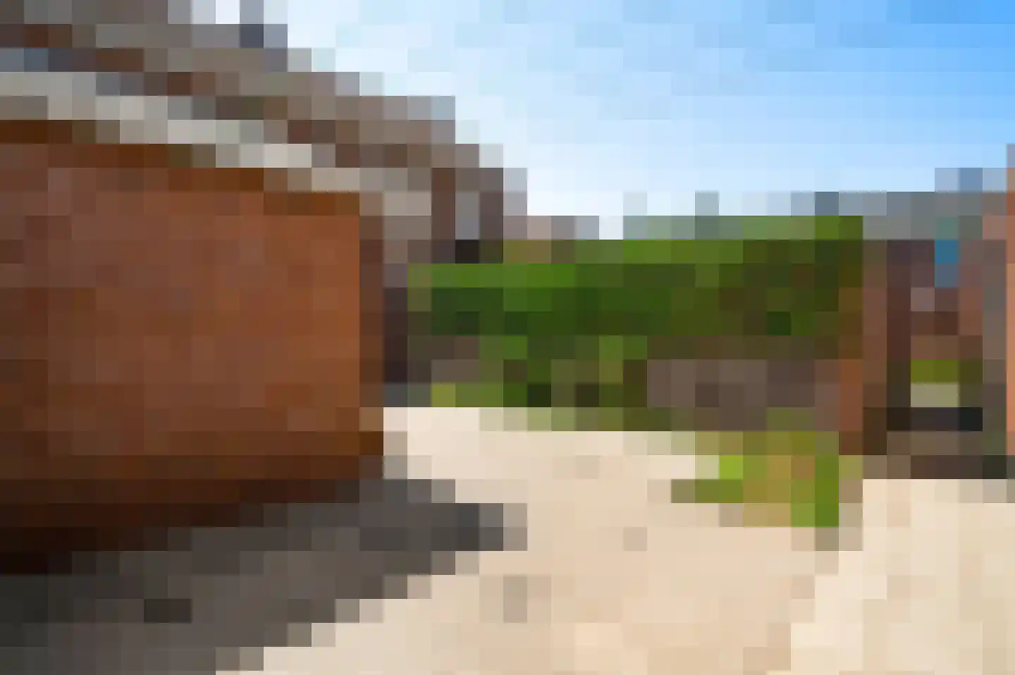 Gerardus Grubbenstraat 5 Venlo thumbnail 37