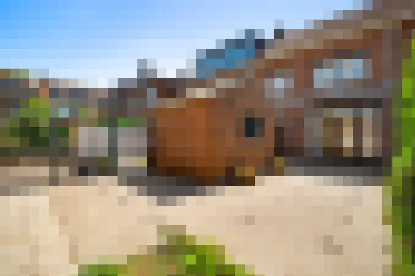 Gerardus Grubbenstraat 5 Venlo thumbnail 7