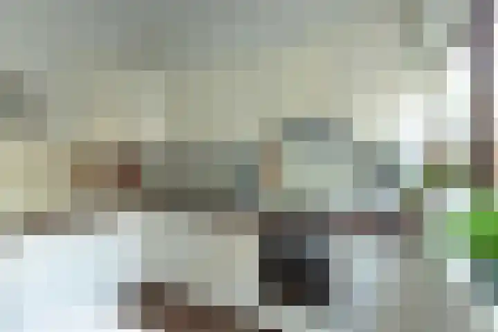 Gerardus Gullaan 13 Hilversum thumbnail 23