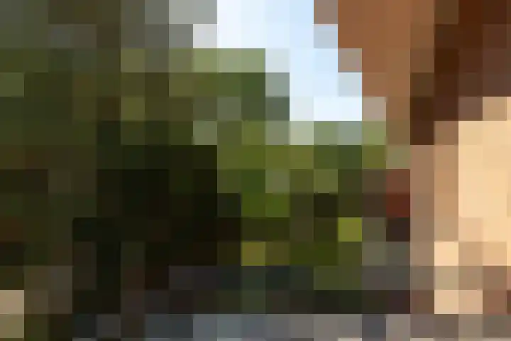 Gerardus Gullaan 13 Hilversum thumbnail 32