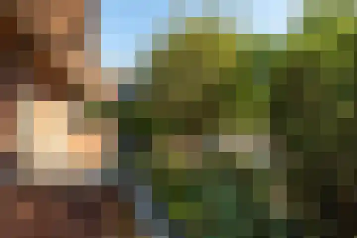 Gerardus Gullaan 13 Hilversum thumbnail 33