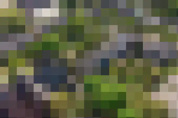 Gerardus Gullaan 13 Hilversum thumbnail 42
