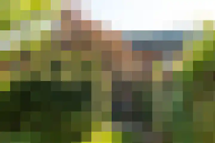 Gerardus Gullaan 13 Hilversum thumbnail 43