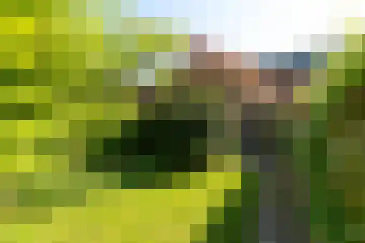 Gerardus Gullaan 13 Hilversum thumbnail 44