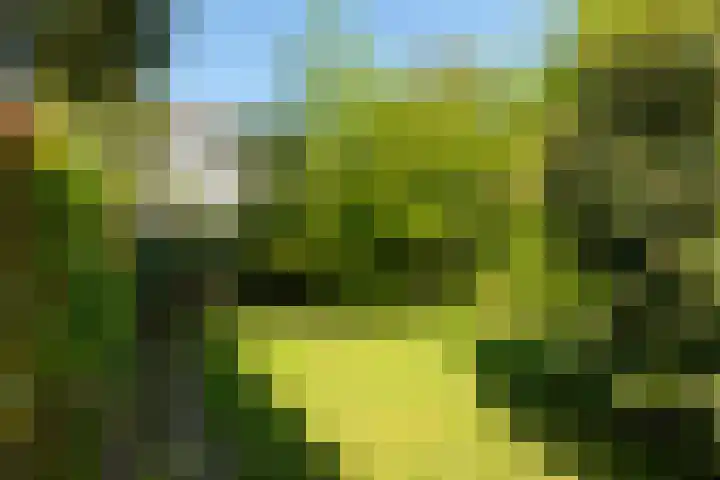 Gerardus Gullaan 13 Hilversum thumbnail 45