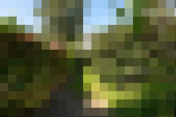 Gerardus Gullaan 13 Hilversum thumbnail 46