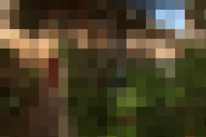 Gerardus Gullaan 13 Hilversum thumbnail 62