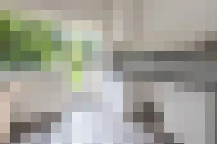 Gerardus Gullaan 16 Hilversum thumbnail 12