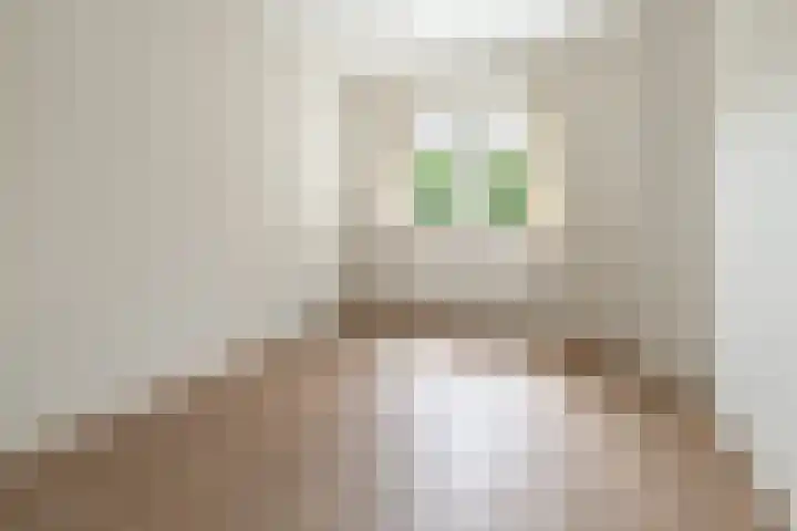 Gerardus Gullaan 16 Hilversum thumbnail 20