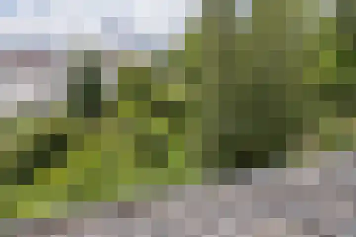Gerardus Gullaan 16 Hilversum thumbnail 28