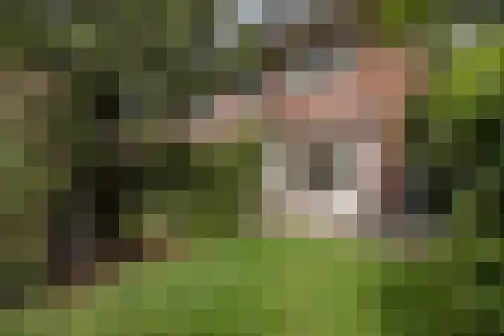 Gerardus Gullaan 16 Hilversum thumbnail 30
