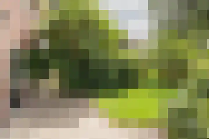 Gerardus Gullaan 16 Hilversum thumbnail 31