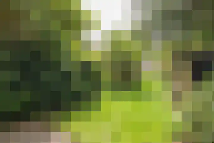 Gerardus Gullaan 16 Hilversum thumbnail 32