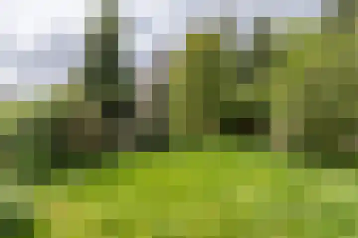 Gerardus Gullaan 16 Hilversum thumbnail 33