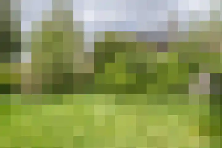 Gerardus Gullaan 16 Hilversum thumbnail 34