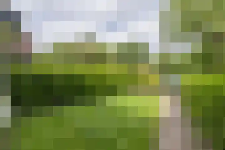Gerardus Gullaan 16 Hilversum thumbnail 36