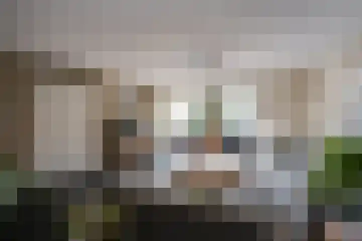 Gerardus Majellastraat 10 Hulten thumbnail 12