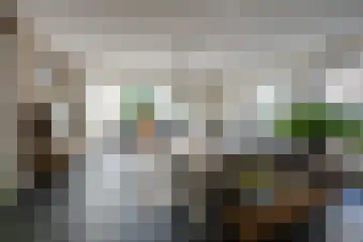 Gerardus Majellastraat 10 Hulten thumbnail 14
