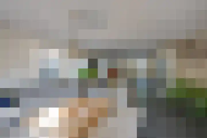 Gerardus Majellastraat 10 Hulten thumbnail 15