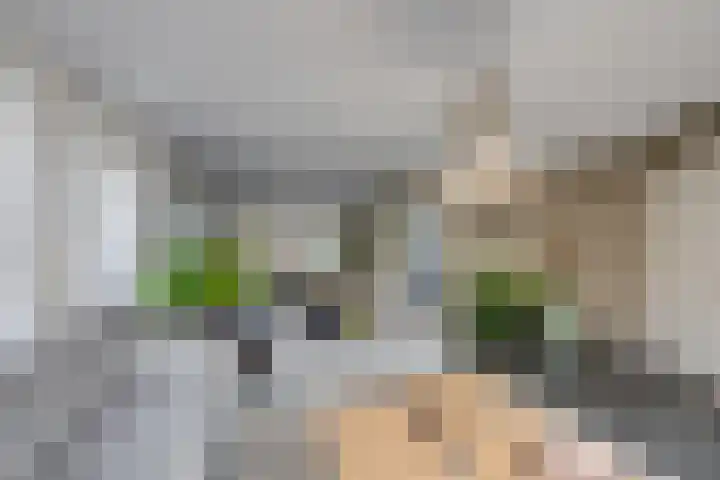 Gerardus Majellastraat 10 Hulten thumbnail 16
