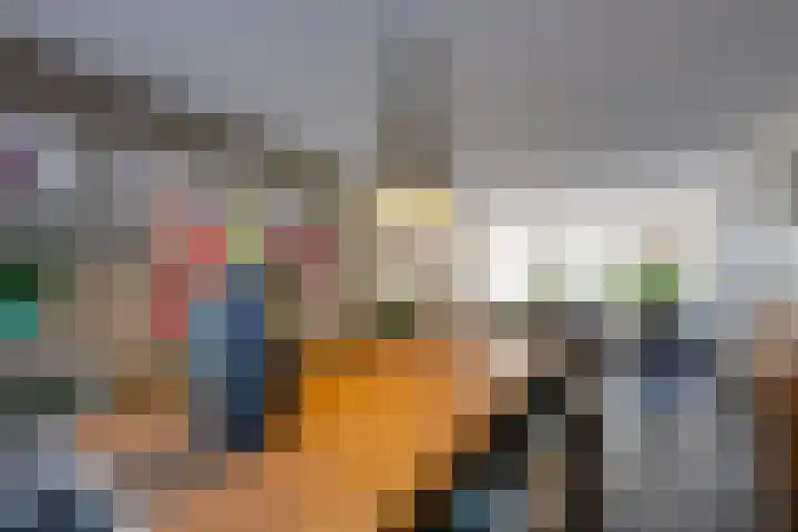 Gerardus Majellastraat 10 Hulten thumbnail 19