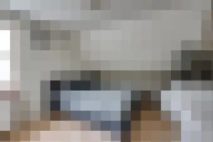 Gerardus Majellastraat 10 Hulten thumbnail 37