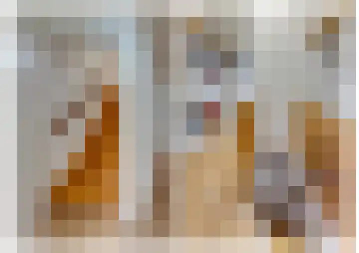 Gerardus Majellastraat 10 Hulten thumbnail 45