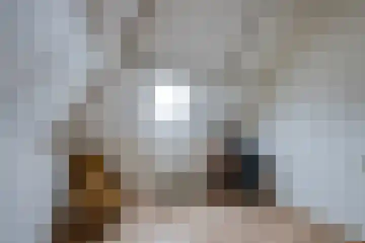 Gerardus Majellastraat 10 Hulten thumbnail 48