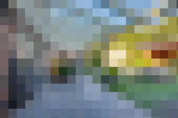 Gerardus Majellastraat 10 Hulten thumbnail 54