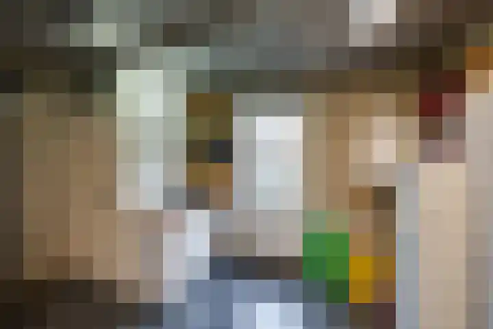 Gerardus Majellastraat 10 Hulten thumbnail 63