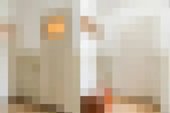 Gerardus Majellastraat 2 B Dongen thumbnail 16